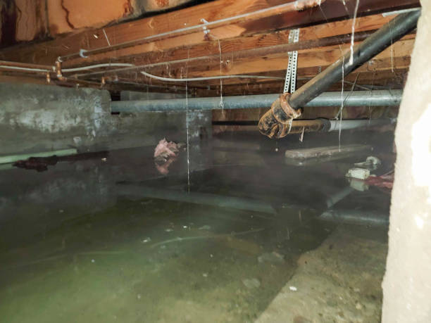 Best Flooded house restoration  in Packanack Lake, NJ