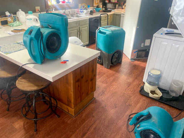 Best Residential water damage restoration  in Packanack Lake, NJ