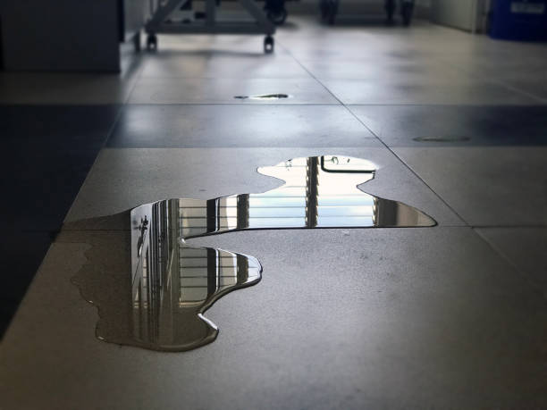Best Professional water damage repair  in Packanack Lake, NJ