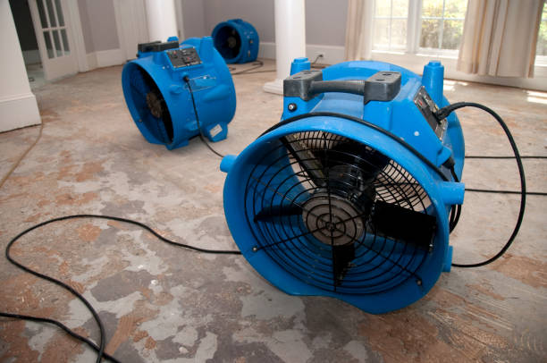 Best Local water damage restoration  in Packanack Lake, NJ